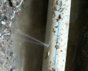 松江卫生间测漏水多少钱